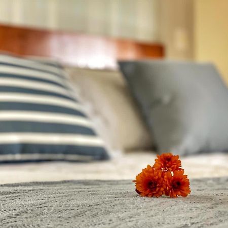 Pousada Flor De Canela Ngoại thất bức ảnh