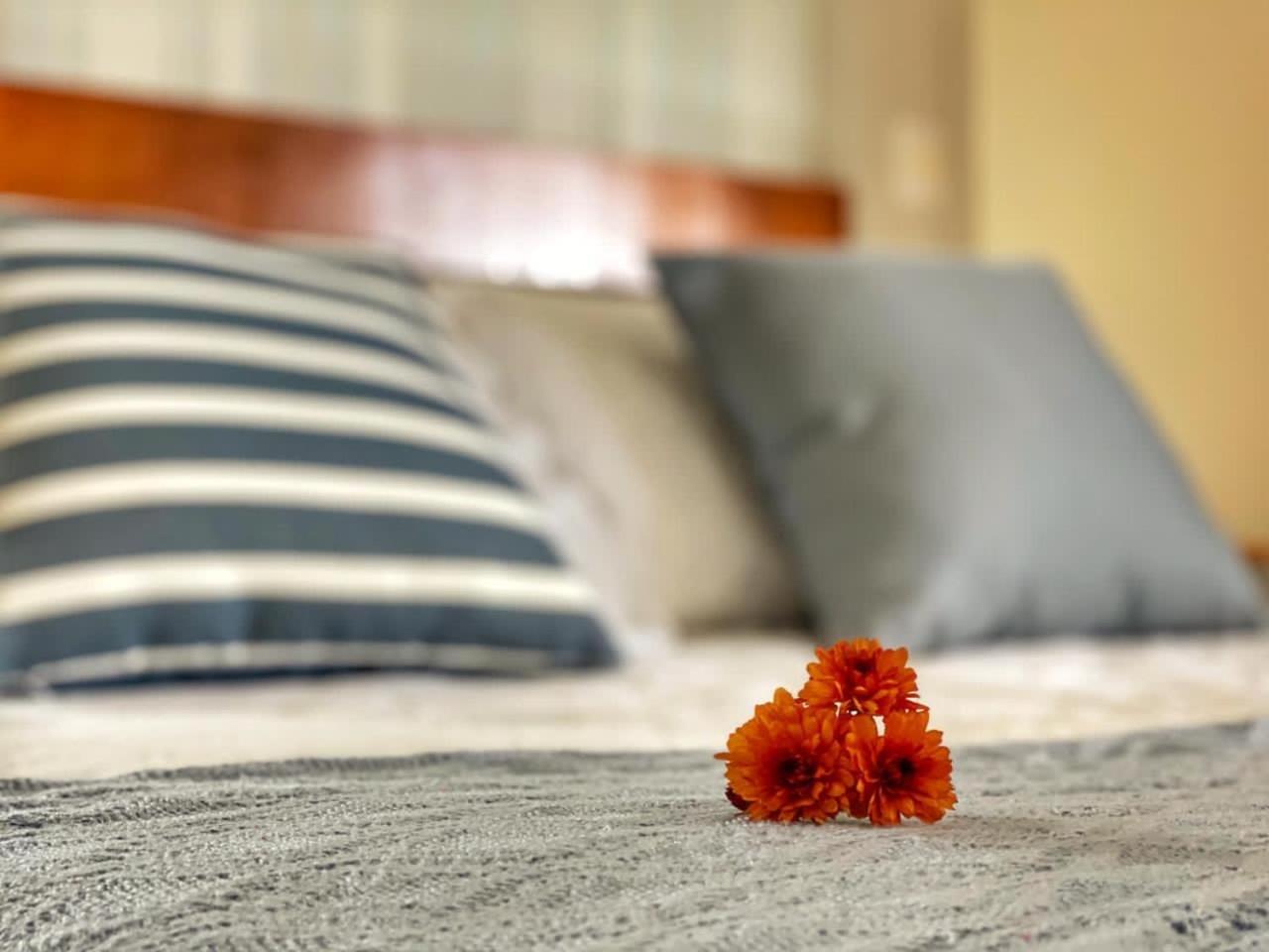 Pousada Flor De Canela Ngoại thất bức ảnh